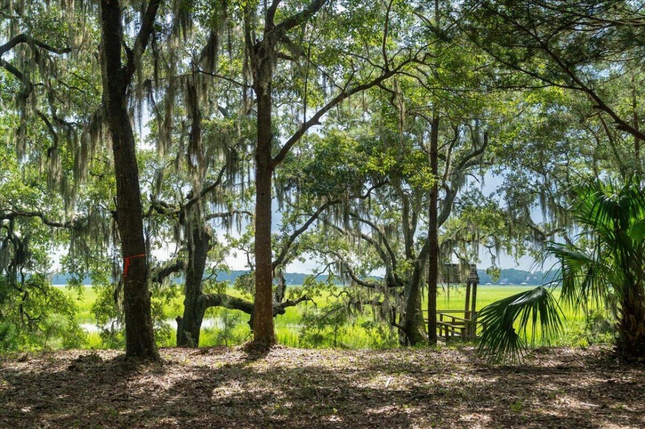 8467 Middleton Point Lane Photo 20