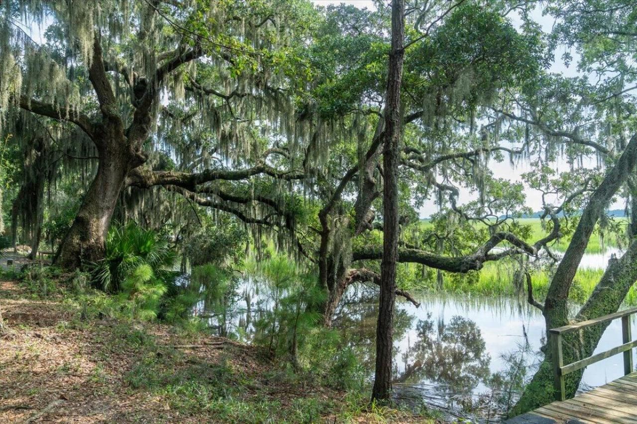 8467 Middleton Point Lane Photo 23