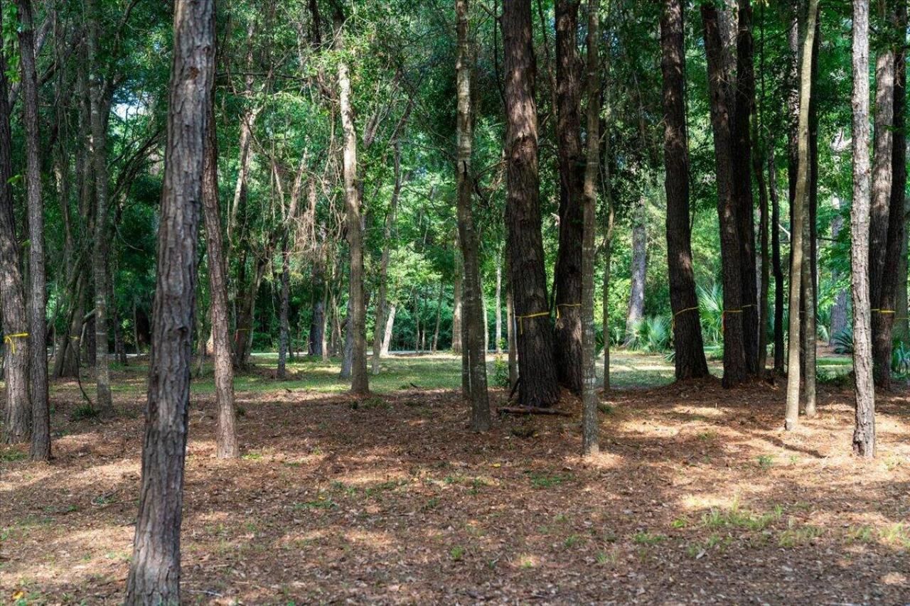 8467 Middleton Point Lane Photo 24