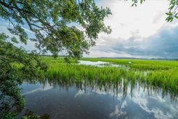 8467 Middleton Point Lane photo 4