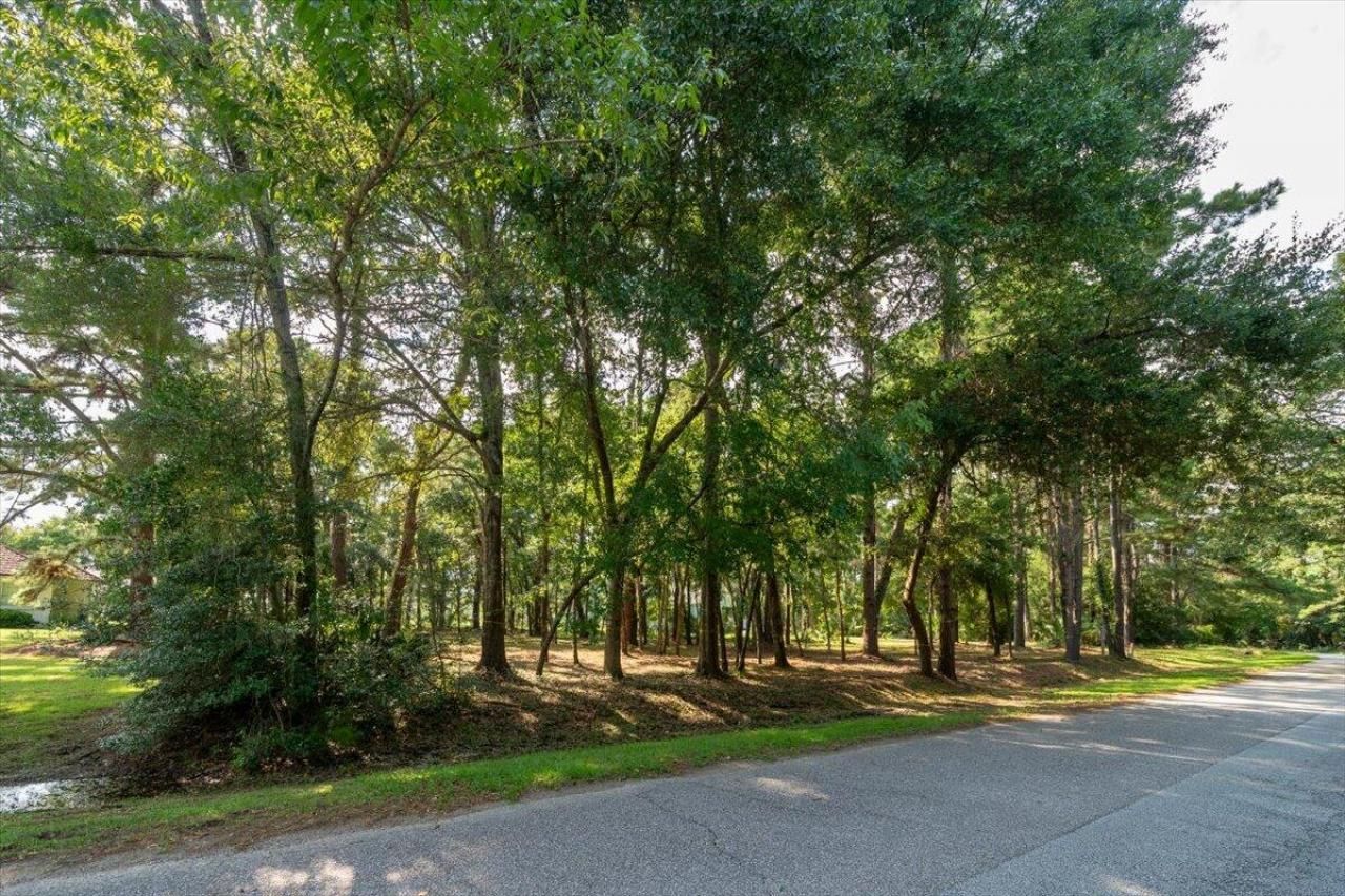 8467 Middleton Point Lane Photo 31