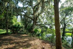8467 Middleton Point Lane photo 4