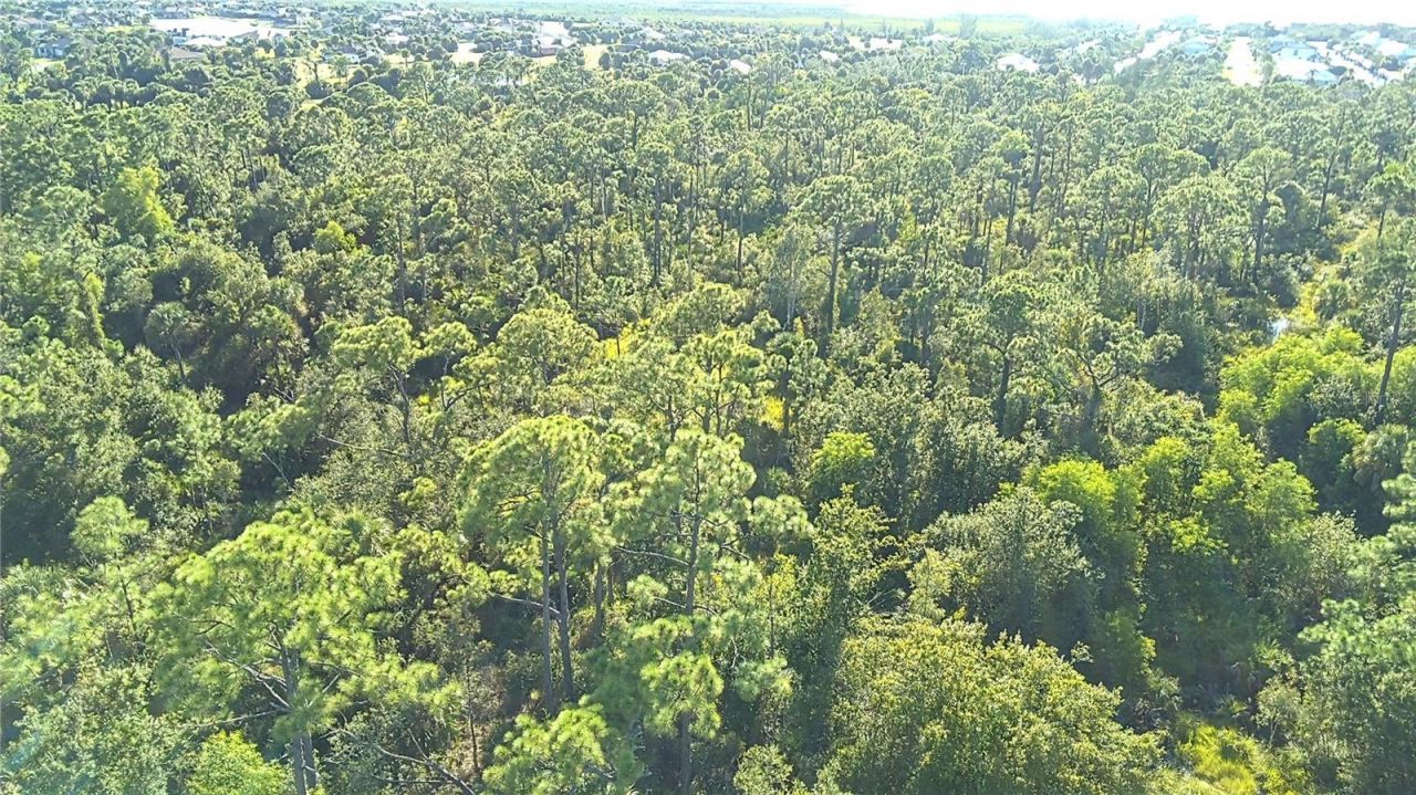 24573 Yacht Club Boulevard, Punta Gorda, FL 33955 Photo