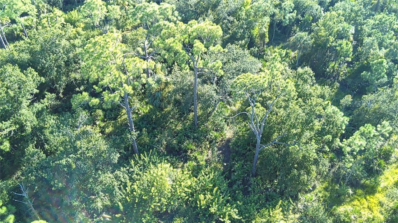 24573 Yacht Club Boulevard, Punta Gorda, FL 33955 Photo