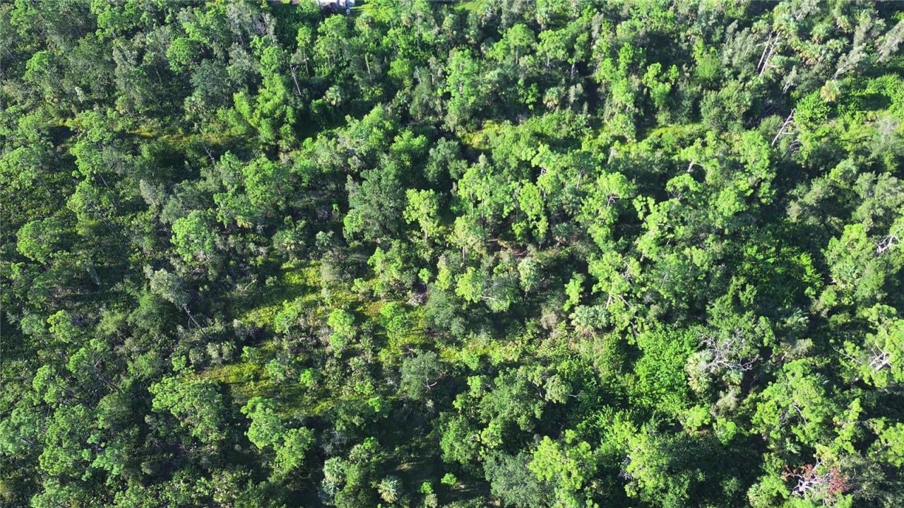 24573 Yacht Club Boulevard, Punta Gorda, FL 33955 Photo