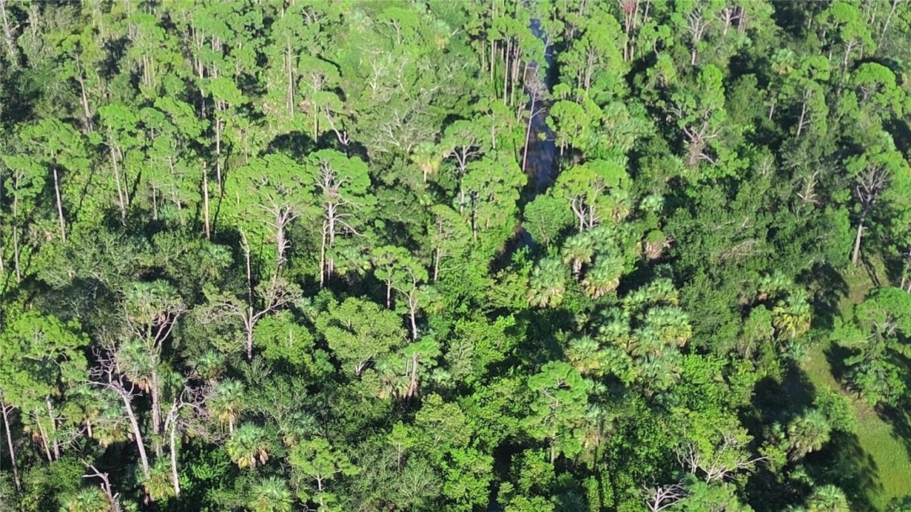 24573 Yacht Club Boulevard, Punta Gorda, FL 33955 Photo