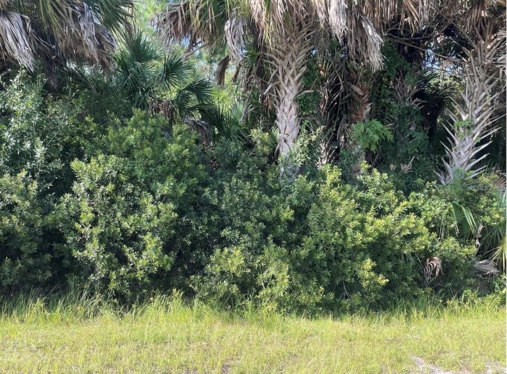 24573 Yacht Club Boulevard, Punta Gorda, FL 33955 Photo