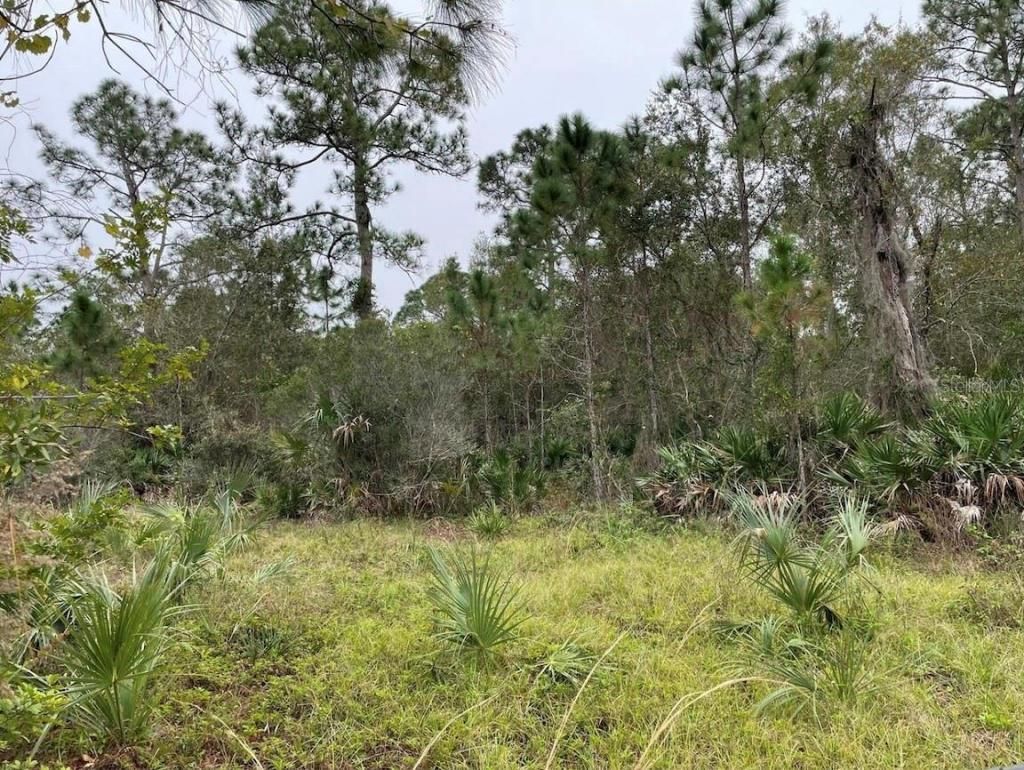 24573 Yacht Club Boulevard, Punta Gorda, FL 33955 Photo