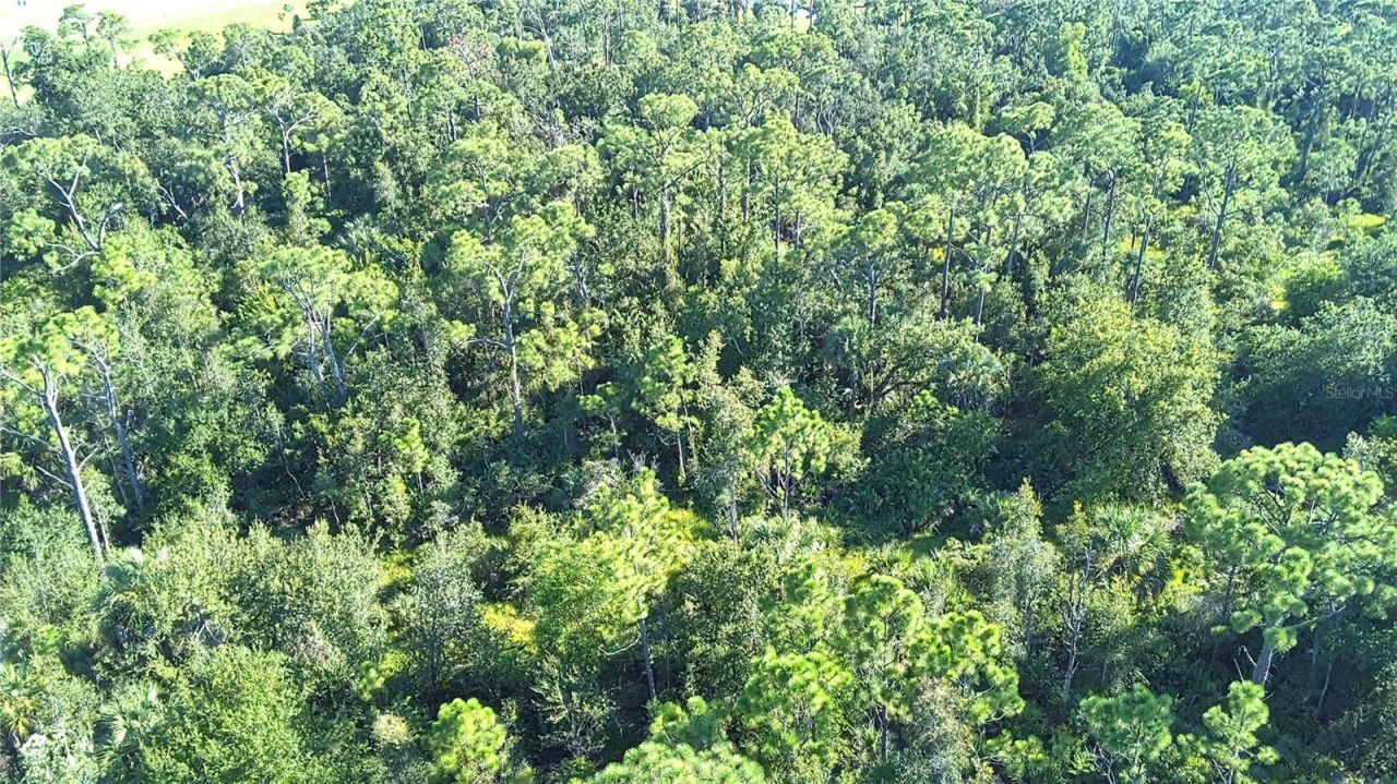 24573 Yacht Club Boulevard, Punta Gorda, FL 33955 Photo