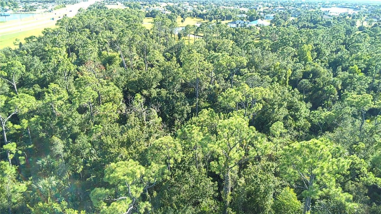 24573 Yacht Club Boulevard, Punta Gorda, FL 33955 Photo