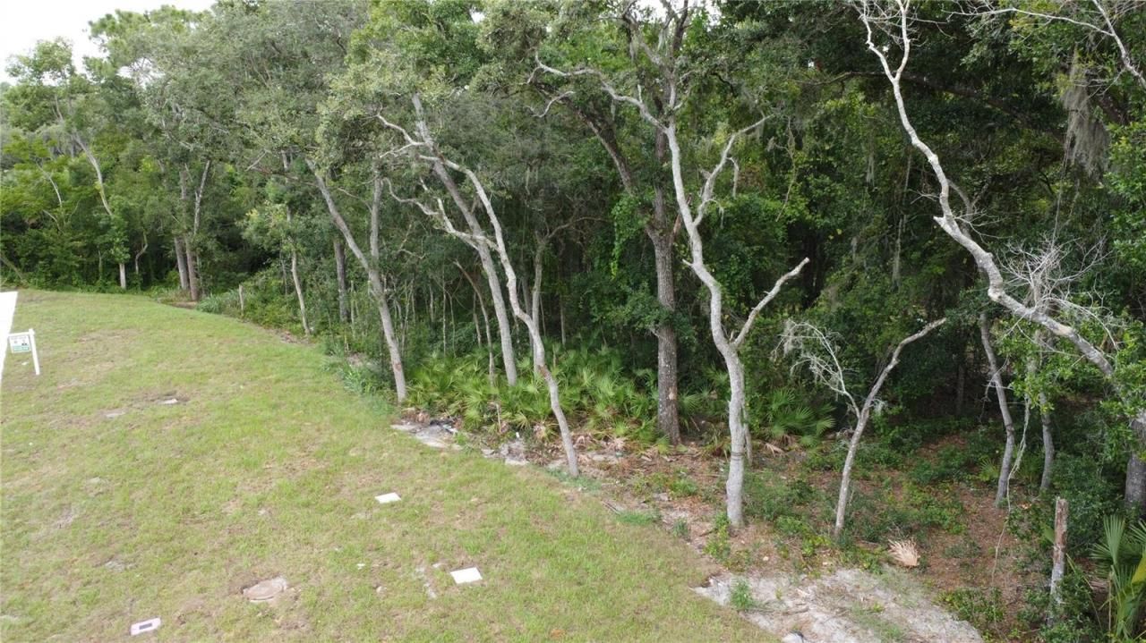 Baywood Street, Altamonte Springs, FL 32701 Photo