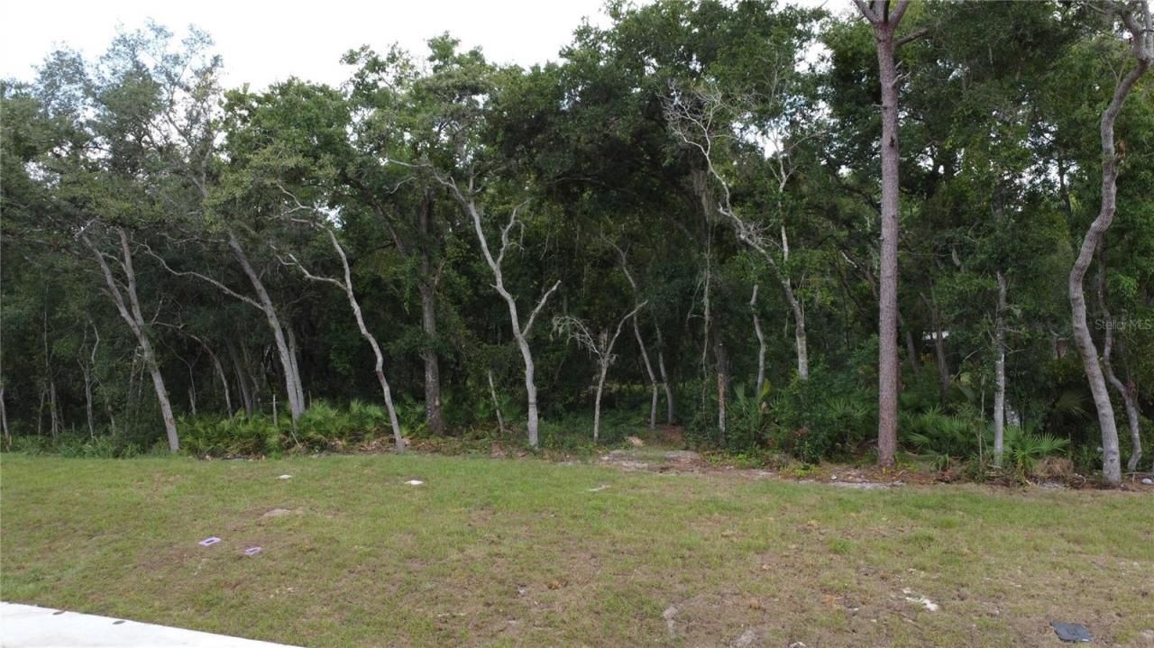 Baywood Street, Altamonte Springs, FL 32701 Photo