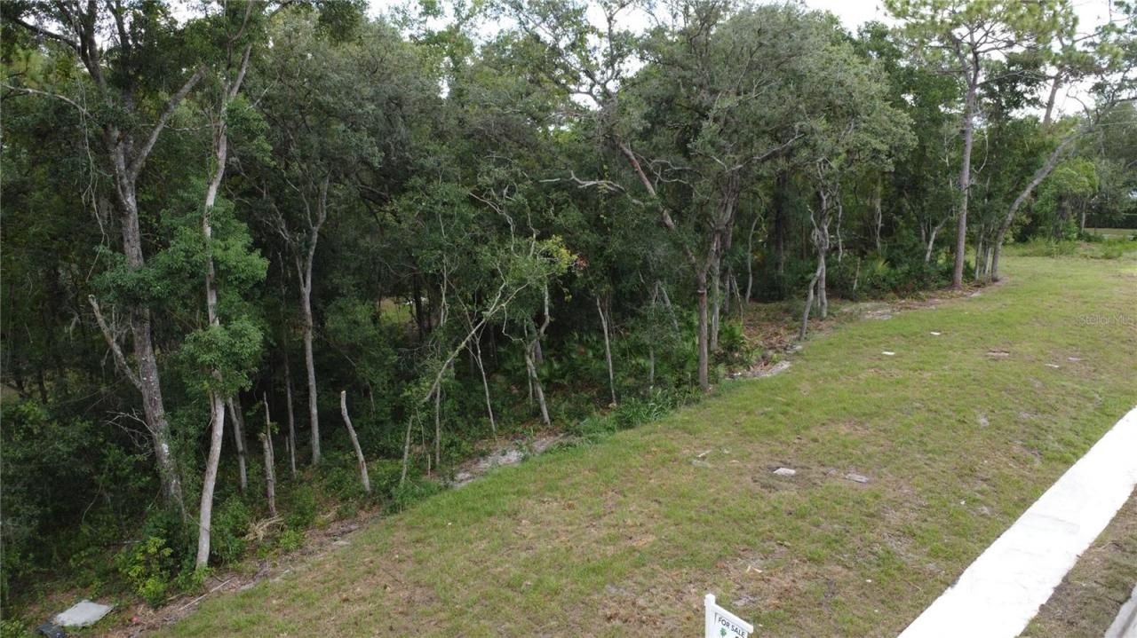 Baywood Street, Altamonte Springs, FL 32701 Photo