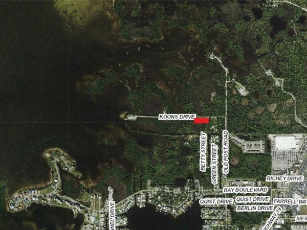 5350 KOONS DRIVE, PORT RICHEY, FL 34668