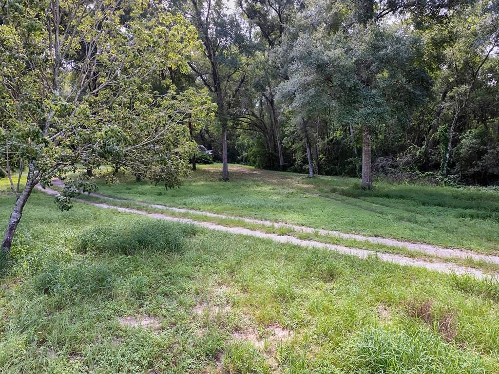 4905 Plymouth Sorrento Road, Apopka, FL 32712 Photo