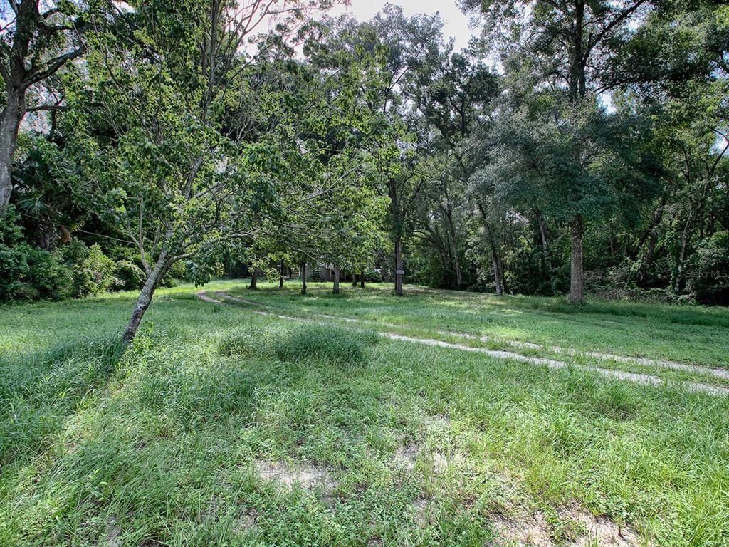 4905 Plymouth Sorrento Road, Apopka, FL 32712 Photo