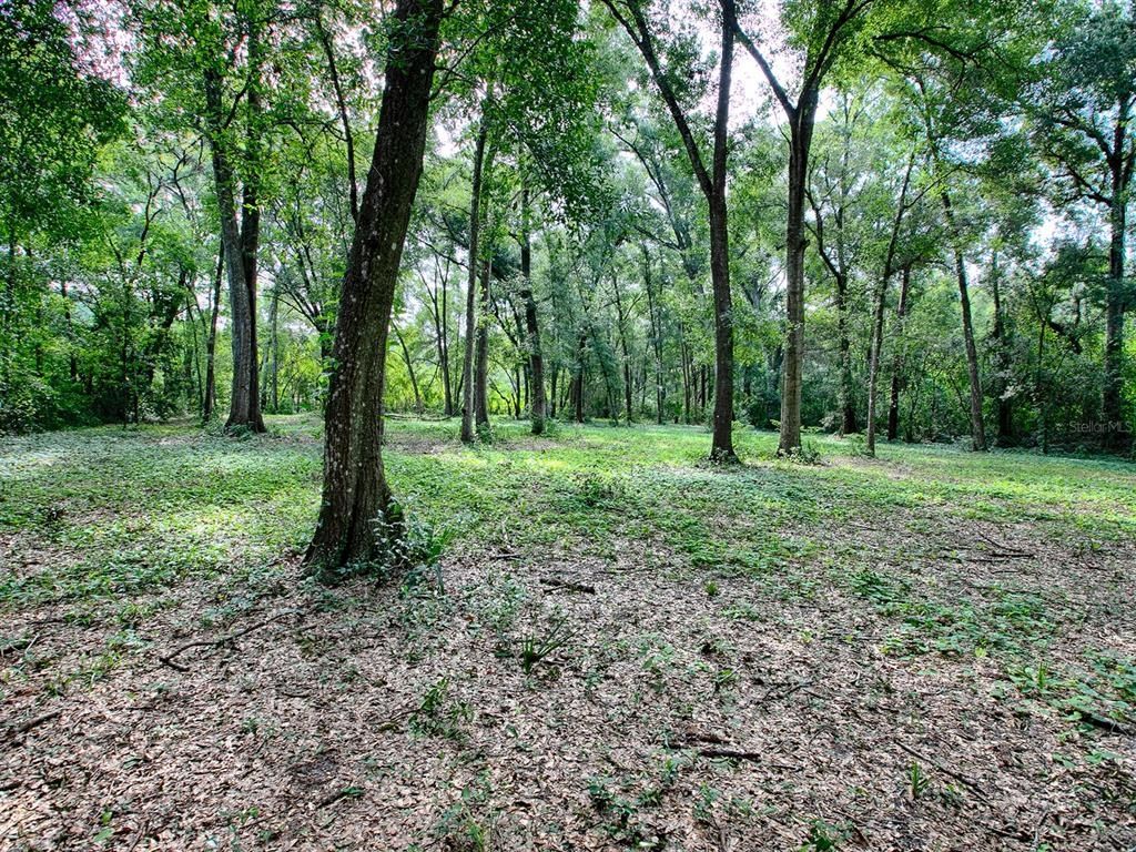 4905 Plymouth Sorrento Road, Apopka, FL 32712 Photo