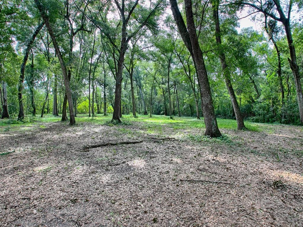 4905 Plymouth Sorrento Road, Apopka, FL 32712 Photo