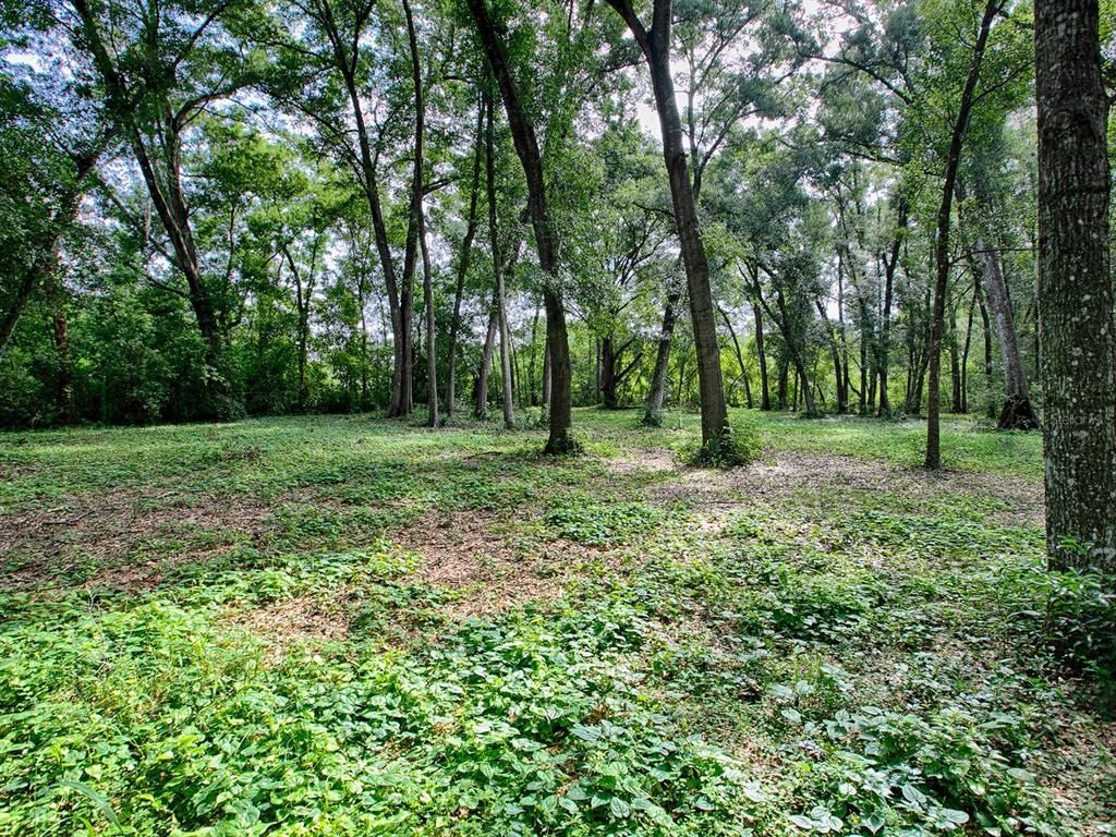 4905 Plymouth Sorrento Road, Apopka, FL 32712 Photo