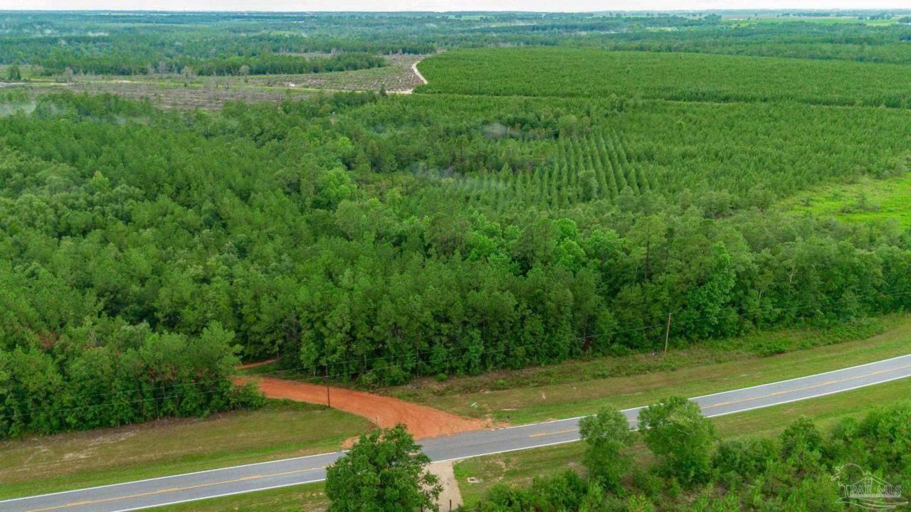 0 Greenwood Rd, Jay, FL 32565 Main Photo