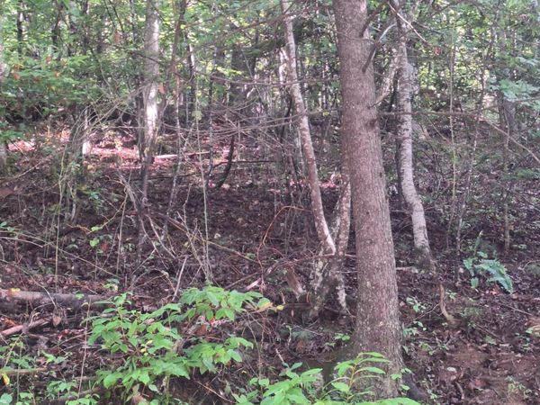0 Coopers Creek Road, Suches, GA 30572