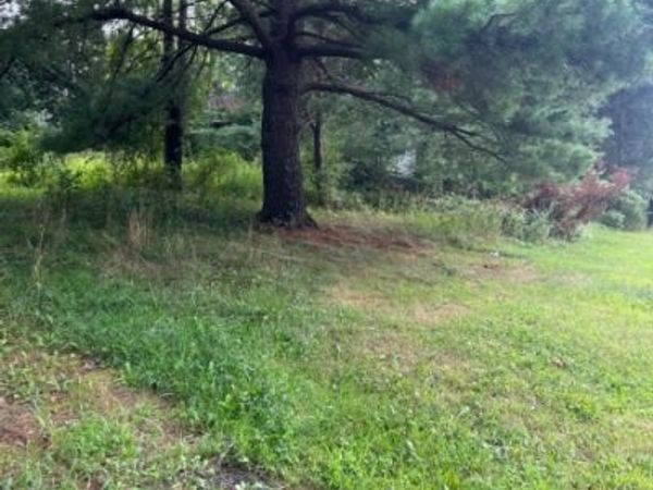 1345 Rt 202, Branchburg, NJ 08853