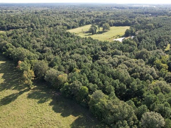 TBD County Road 168-1, Long Branch, TX 75669