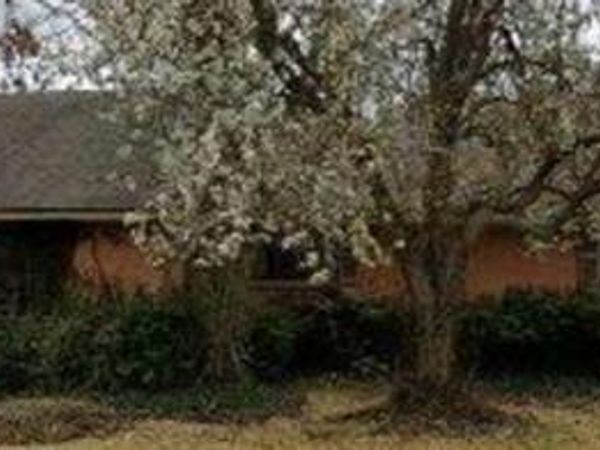 5208 Caladium Drive, Dallas, TX 75229