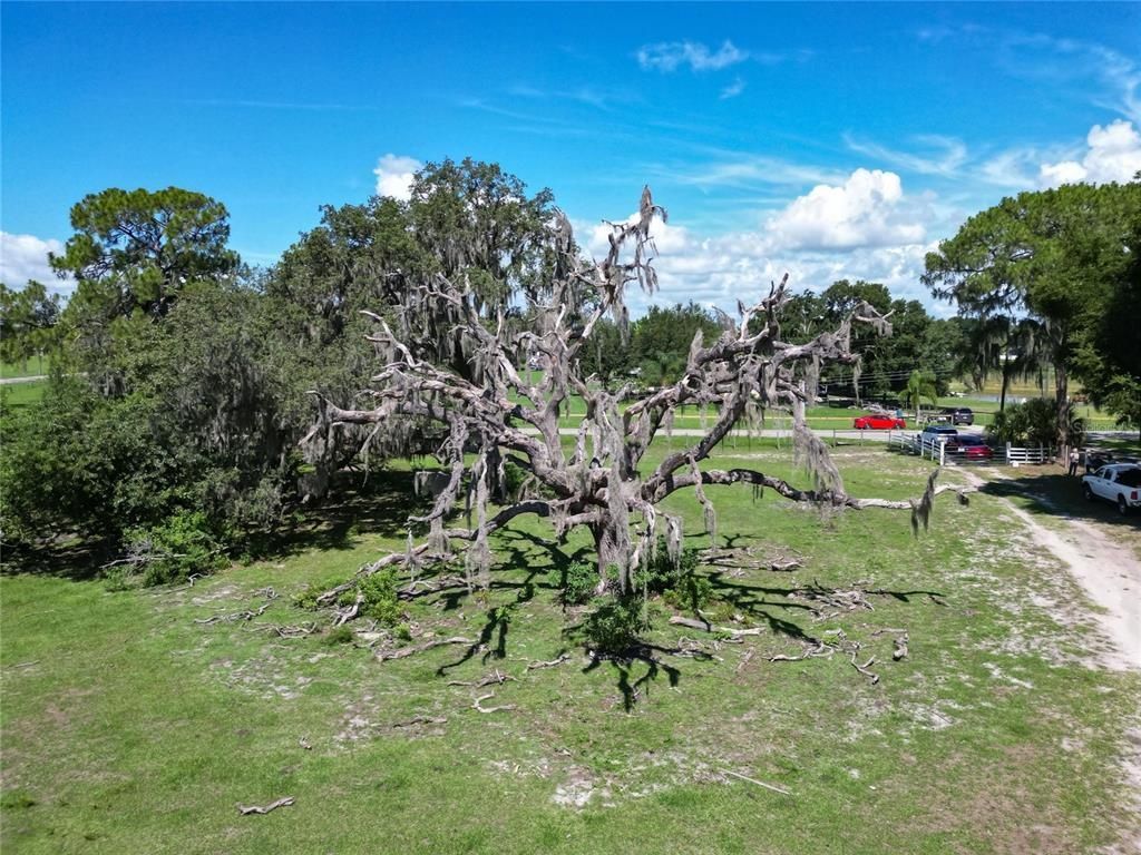 8315 Tom Costine Road, Lakeland, FL 33809 Photo