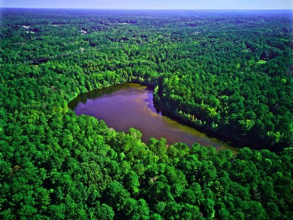 0 Huckaby Road, Brooks, GA 30205