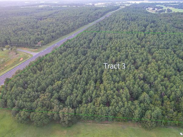 Tract 3 Hwy 155, Frankston, TX 75763