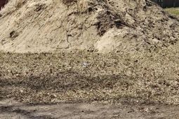 0 Deleston Street photo 4