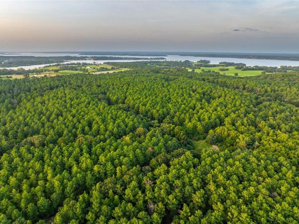 Tract 5 Hwy 155, Frankston, TX 75763