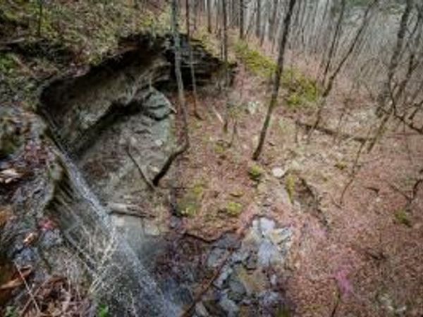 TBD Angora Mountain Road, Clinton, AR 72031