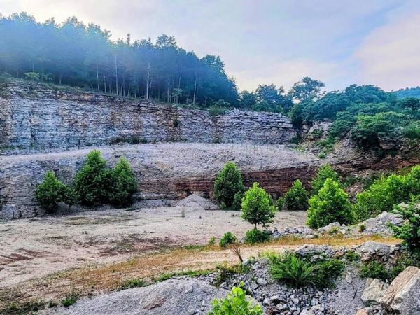 29423 HWY 123, Western Grove, AR 72685