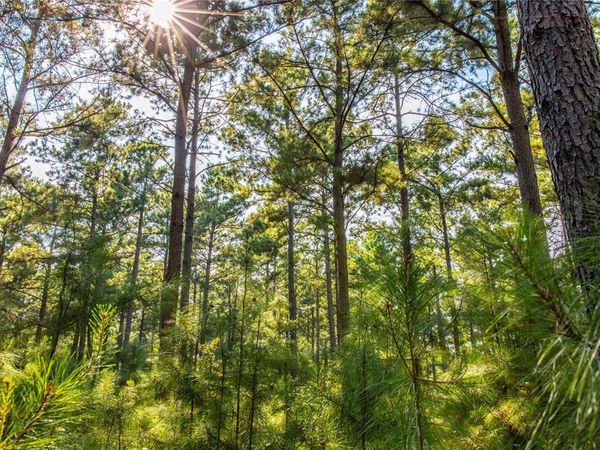 Tract 8 County Road 4221, Frankston, TX 75763