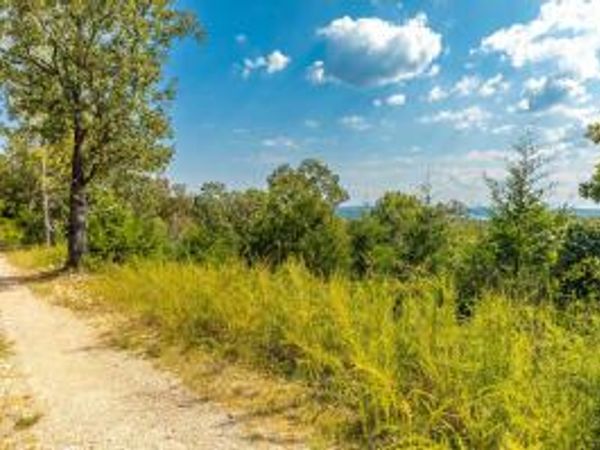Tract 3 MC 8025, Peel, AR 72668