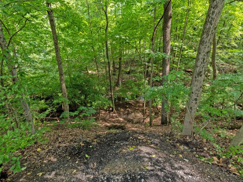 5000 Slate Run Woods Court, Upper Arlington, OH 43220 Photo 108