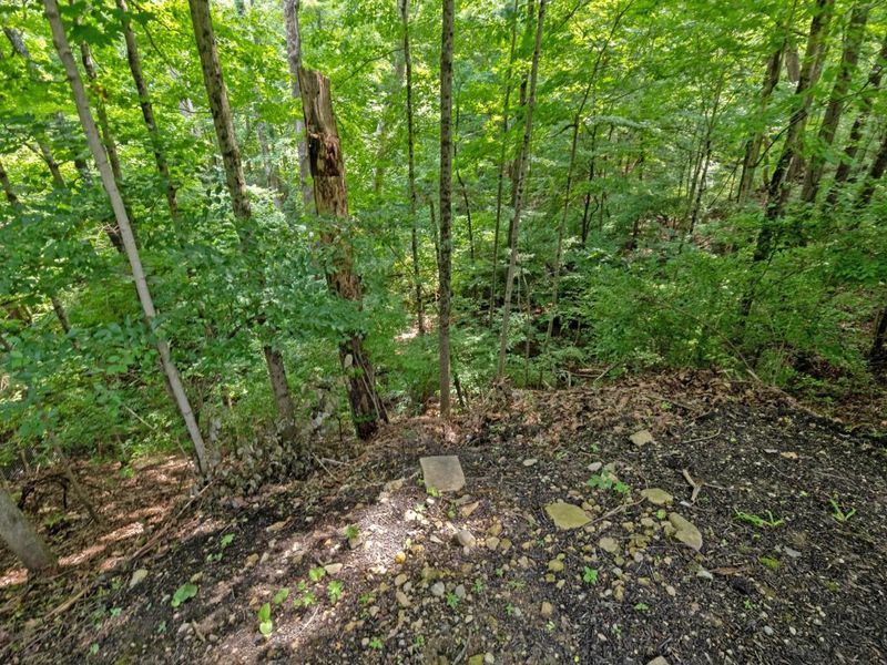 5000 Slate Run Woods Court, Upper Arlington, OH 43220 Photo 109