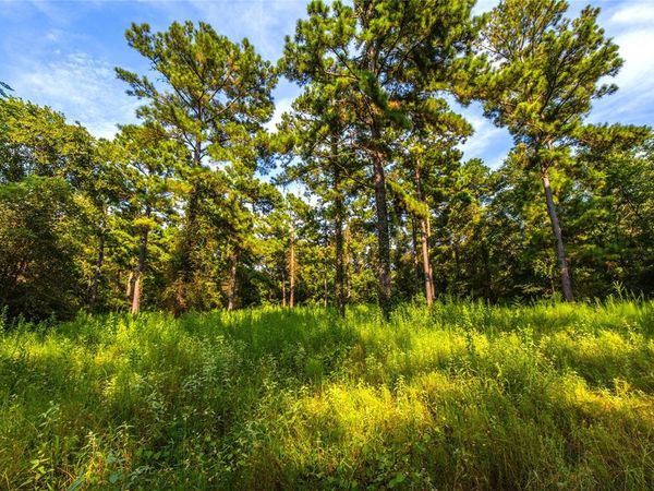 Tract 11 County Road 4222, Frankston, TX 75763