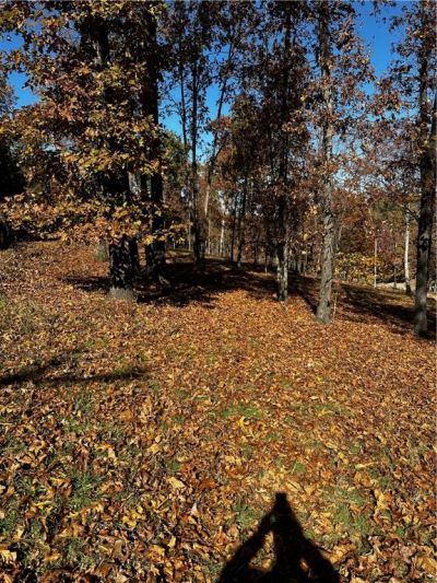 Lot 106 E Robin Road, Rogers, AR 72756 Main Photo