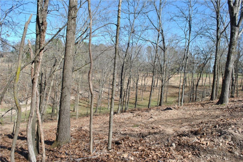 Lot 105 E Robin Road, Rogers, AR 72756 Main Photo