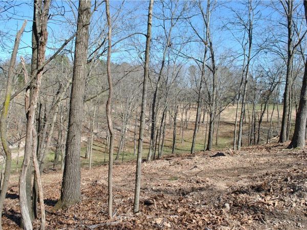 Lot 105 E Robin Road, Rogers, AR 72756