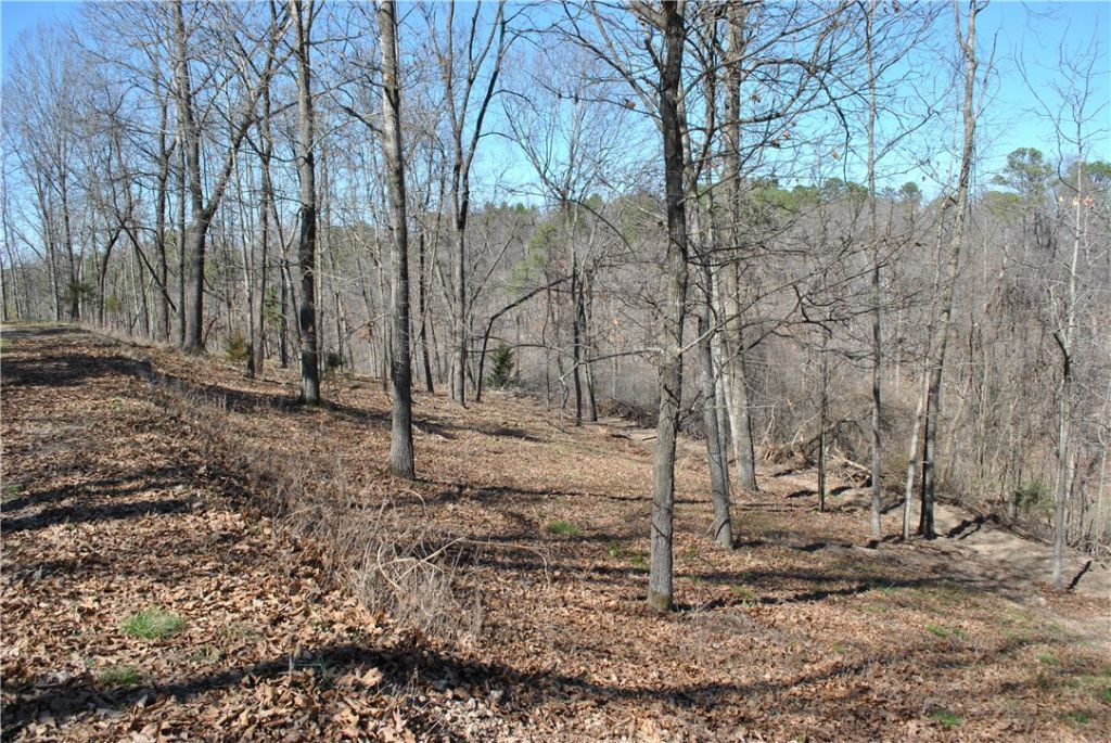 Lot 104 E Robin Road, Rogers, AR 72756 Main Photo