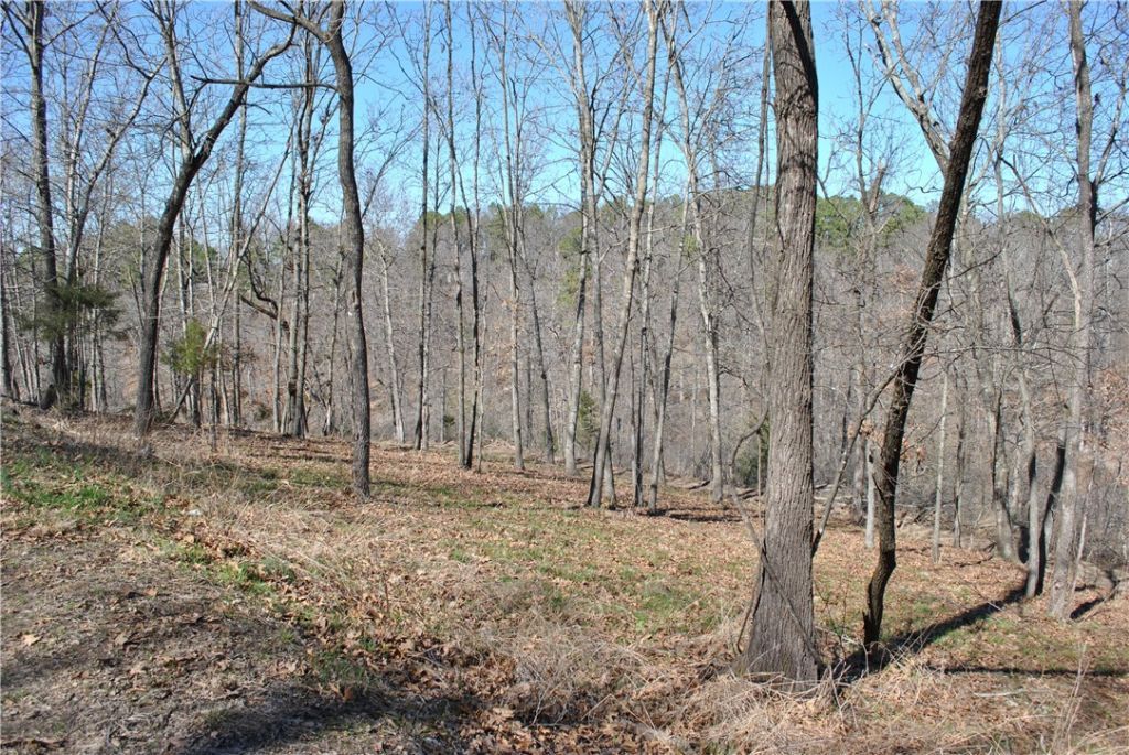 Lot 103a E Robin Road, Rogers, AR 72756 Main Photo