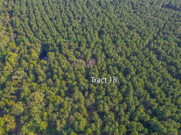 Tract 18 County Road 4224, Frankston, TX 75763
