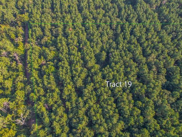 Tract 19 County Road 4224, Frankston, TX 75763