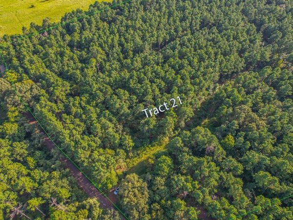 Tract 21 County Road 4224, Frankston, TX 75763