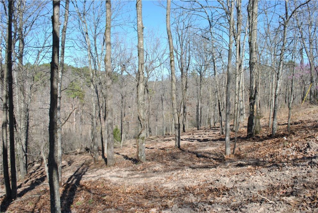 Lot 101 E Robin Road, Rogers, AR 72756 Main Photo