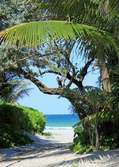 305 Oak St, Hollywood, FL 33019 Photo